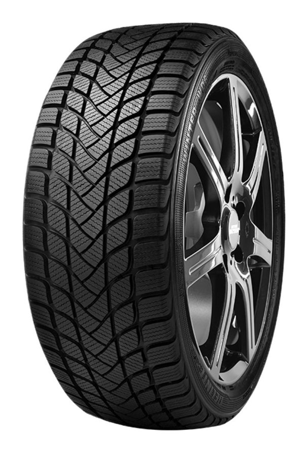 Delinte Winter WD6 225/50 R17 98T  