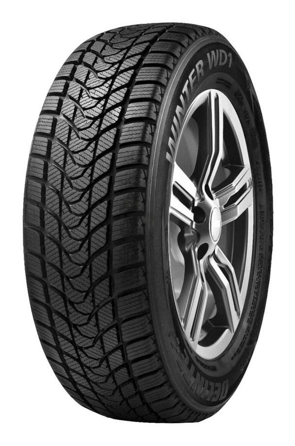 Delinte Winter WD1 225/55 R17 97T  